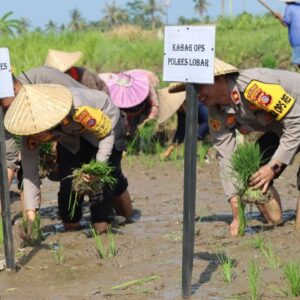 Gerakan Nasional Pangan Merah Putih: Polri Dukung Ketahanan Pangan