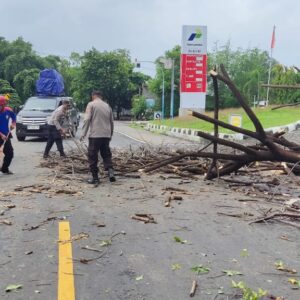 Pohon Tumbang Tutupi Jalan, Polsek Kayangan bersama Damkar Respon Cepat
