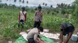 Bhabinkamtibmas Desa Lune Dukung Program Ketahanan Pangan Nasional