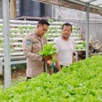 Dukung Ketahanan Pangan, Bhabinkamtibmas Kelurahan Menala Monitoring Kebun Hidroponik Milik Warga