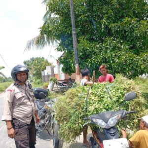 Aksi Nyata Bhabinkamtibmas: Dorong Warga Merembu Mandiri Pangan