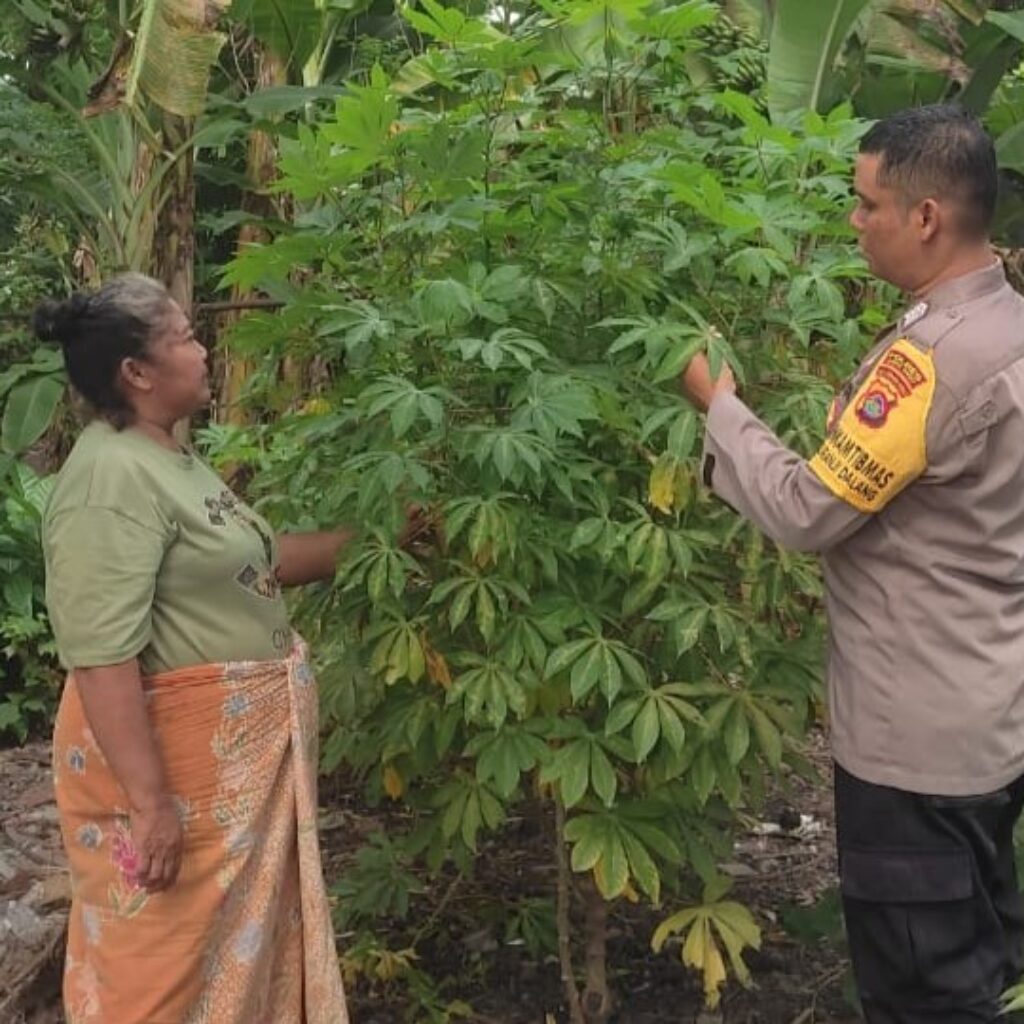 Bripka Okto Gencar Dukung Ketahanan Pangan, Ajak Warga Bertani