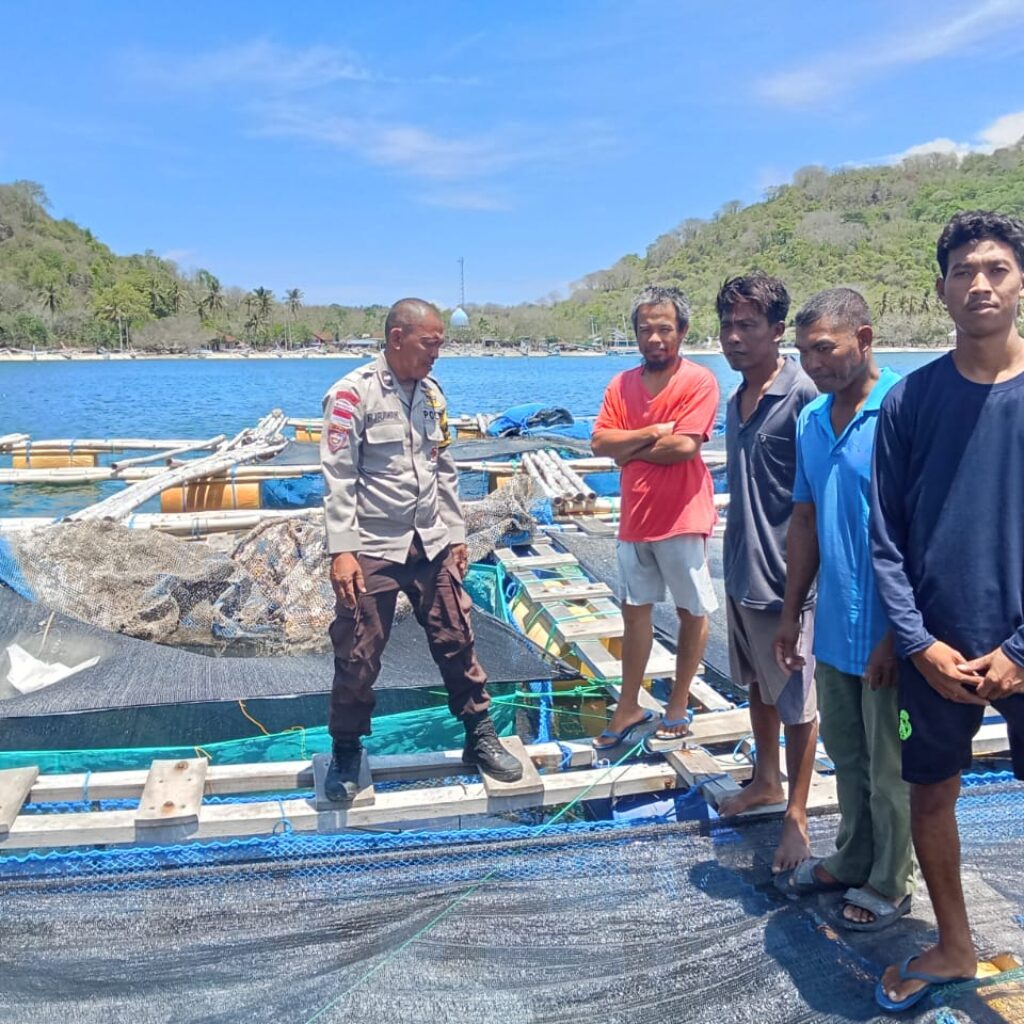 Dukung Ketahanan Pangan, Polsek Sekotong Terjun ke Budidaya Ikan Gili Gede