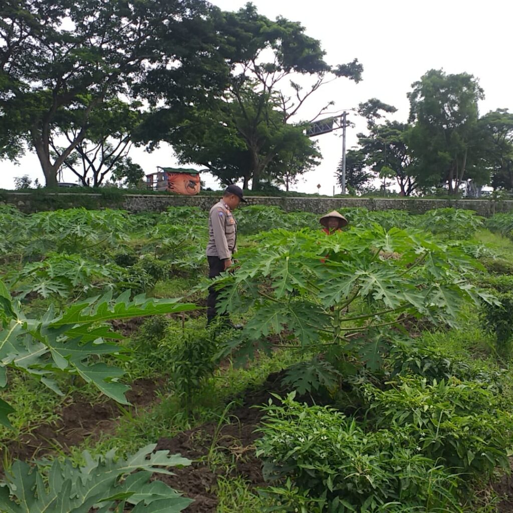 Polisi Sambangi Petani Jagaraga, Dorong Optimalisasi Lahan