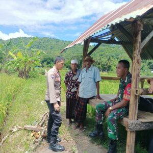 Sinergi Polisi & Petani: Harga Gabah Aman, Panen Tenang!