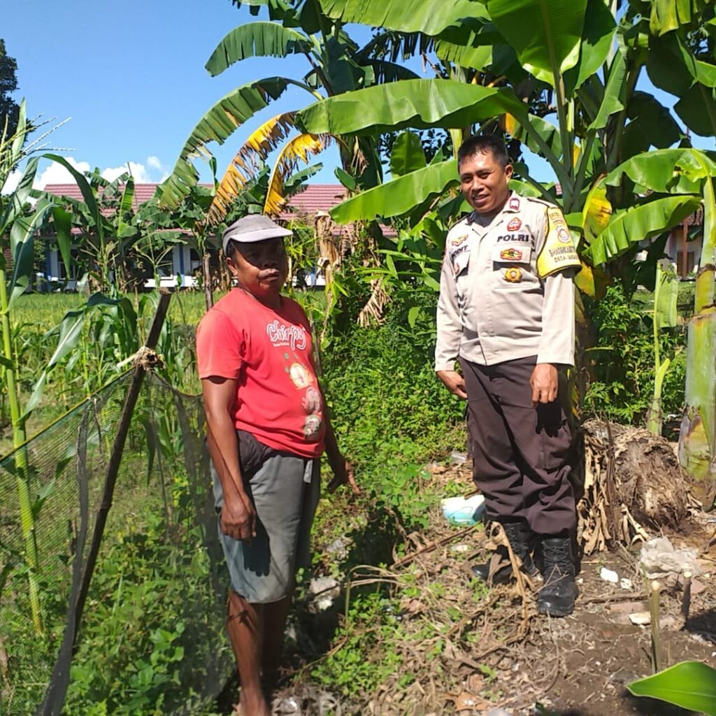 Sinergi Polri dan Warga, Polsek Kuripan Gencarkan Program Ketahanan Pangan