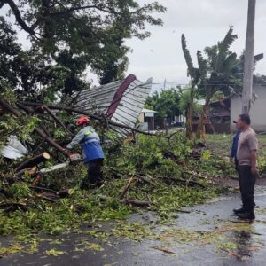 *Respon Cepat Polsek Kayangan Evakuasi Korban dan Pohon Tumbang *