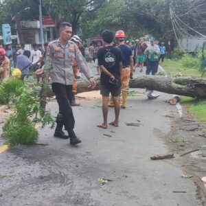 Respon Cepat Polsek Pemenang Evakuasi Pohon Tumbang