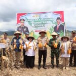 Dukung Ketahanan Pangan Nasional, Polres Sumbawa Gelar Panen Raya Jagung Serentak Tahap I Di Kecamatan Lunyuk