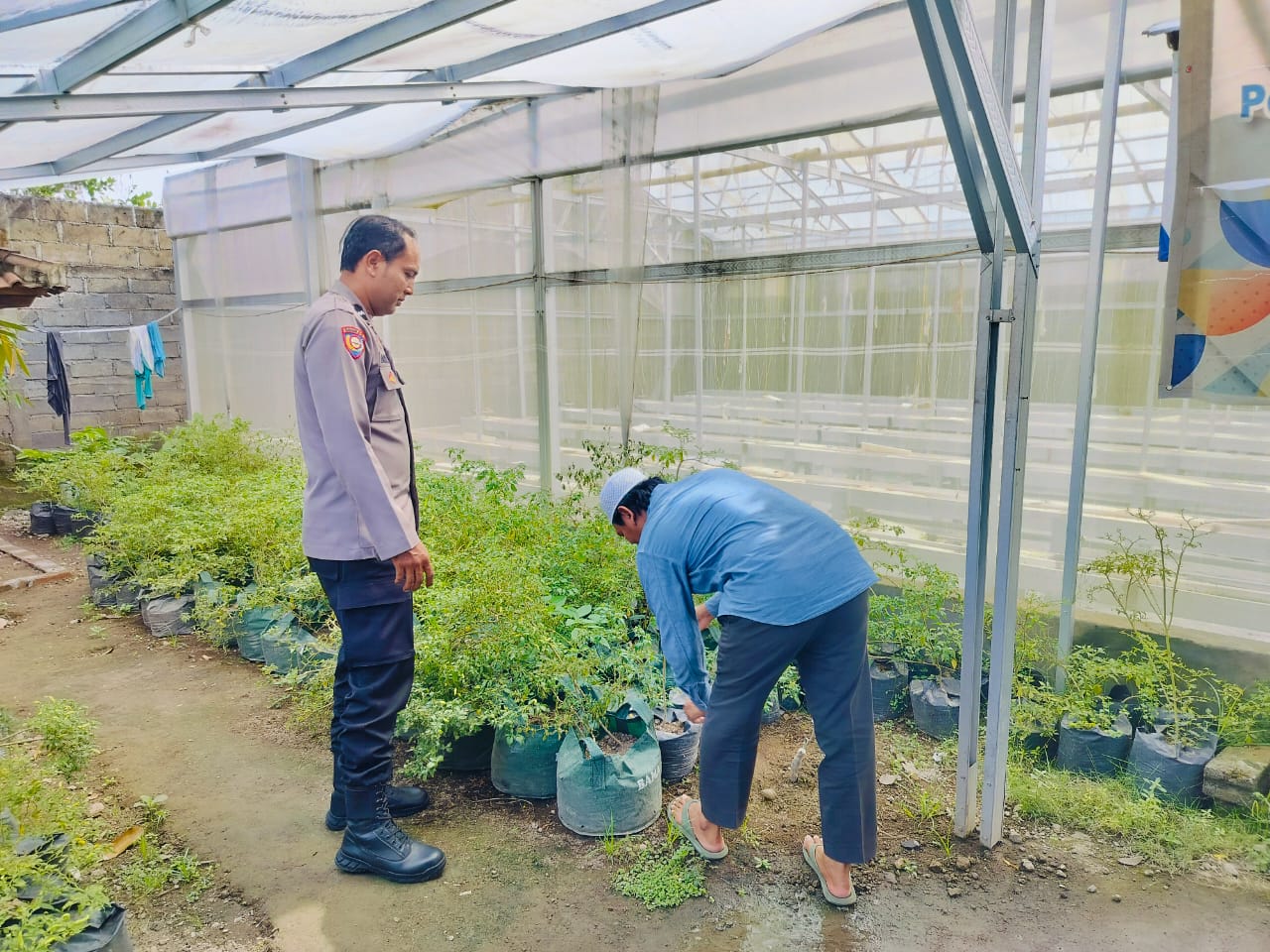 Bhabinkamtibmas Bajur Gerakkan Warga Manfaatkan Pekarangan Rumah untuk Ketahanan Pangan