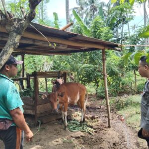 Polri Dukung Program P2B, Warga Batulayar Siap Tanam Sendiri