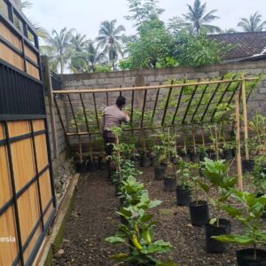 Ketahanan Pangan: Polsek Kuripan Gencar Sosialisasi Berkebun di Pekarangan
