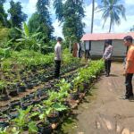 Kanit Binmas Polsek Pringgarata Tinjau Pekarangan Bergizi Milik Warga.