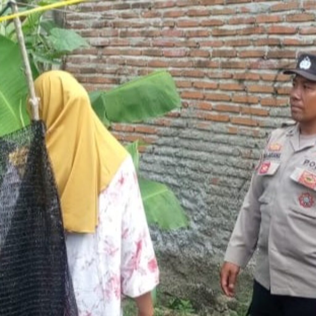 Pekarangan Bergizi di Sekotong Barat, Polri Berperan Aktif Dukung Ketahanan Pangan