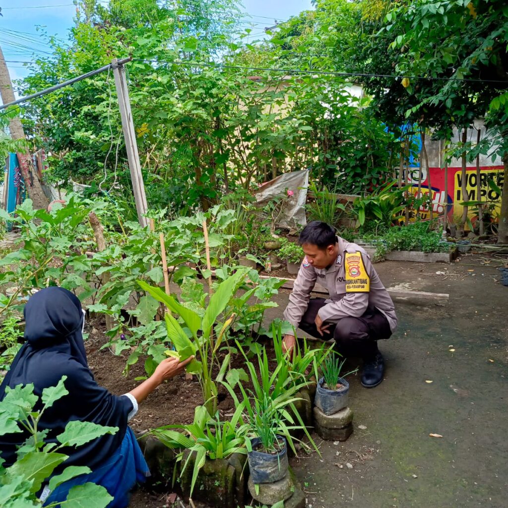 Ketahanan Pangan: Polisi Bantu Warga Optimalkan Pekarangan Rumah