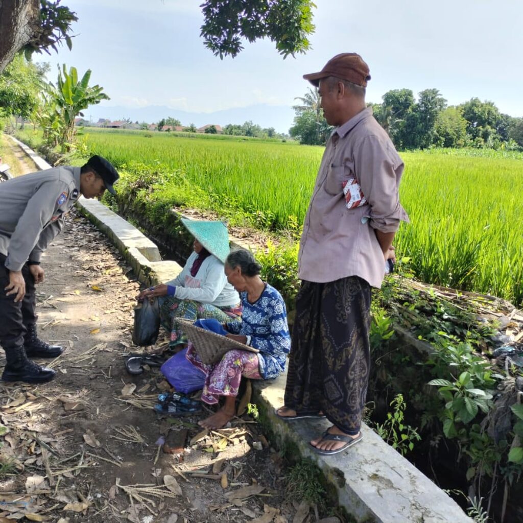 Polisi Turun ke Sawah! Bhabinkamtibmas Dukung Petani di Labuapi