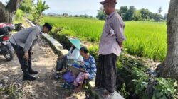 Polisi Turun ke Sawah! Bhabinkamtibmas Dukung Petani di Labuapi