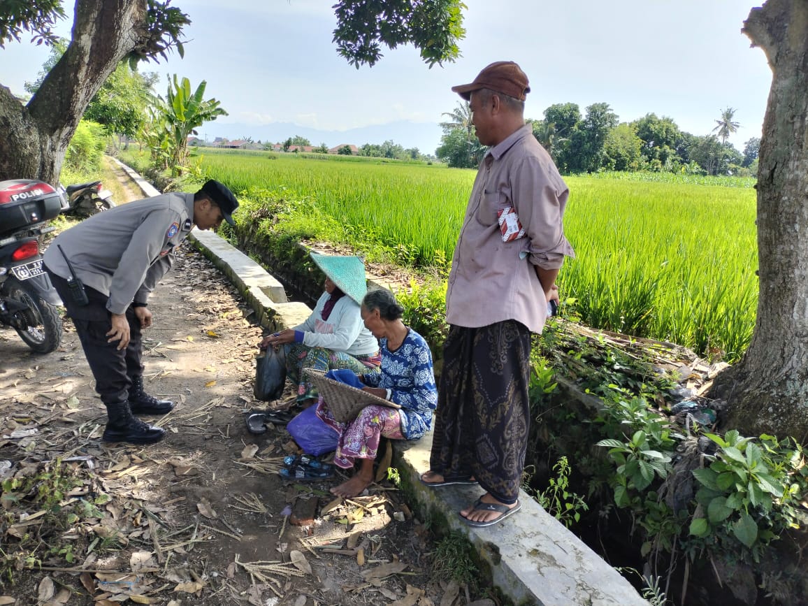 Polisi Turun ke Sawah! Bhabinkamtibmas Dukung Petani di Labuapi