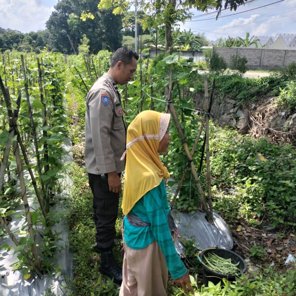 Peran Aktif Bhabinkamtibmas di Labuapi dalam Ketahanan Pangan Nasional