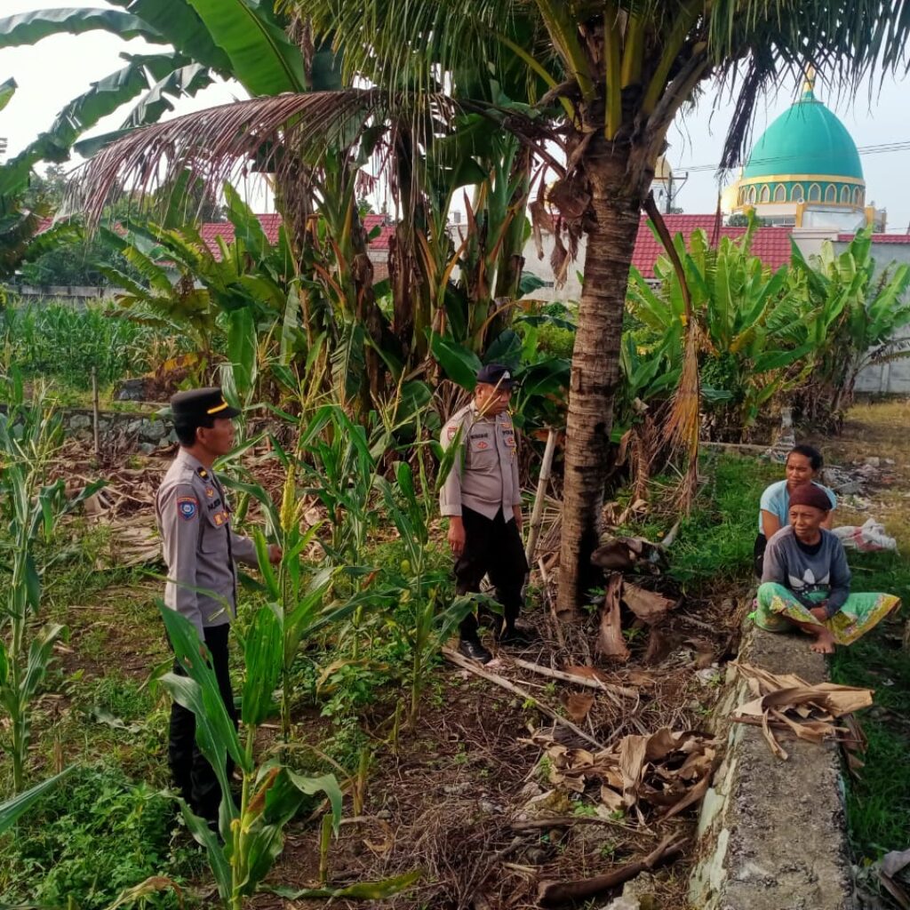 polsek, labuapi, polri, petani, pertanian, dukungan, program, pemerintah, bhabinkamtibmas, sinergi