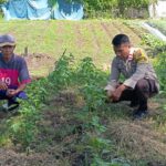 Bhabinkamtibmas Desa Kempo Bantu Warga Binaan dalam Program Ketahanan Pangan