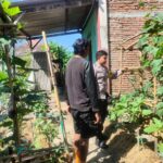 Dorong Ketahanan Pangan, Bhabinkamtibmas Desaloka Dampingi Warga Kelola Lahan Pangan Bergizi