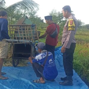 Polres Loteng Turun Langsung, Tinjau Panen Padi dan Perkuat Ketahanan Pangan Masyarakat. 