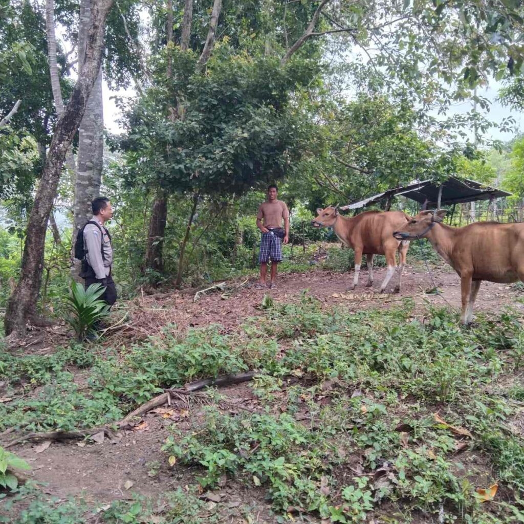 Ketahanan Pangan Dimulai dari Rumah: Inisiatif Polisi di Lombok Barat