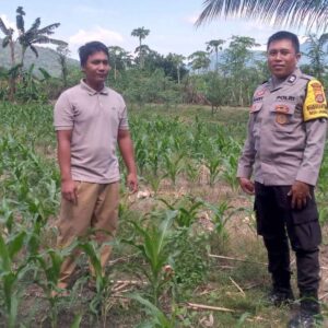 Bhabinkamtibmas Aktif Sosialisasi Ketahanan Pangan ke Warga Desa