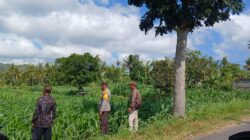 Kunjungan Bhabinkamtibmas di Lombok Barat Jadi Penyemangat Petani Lokal