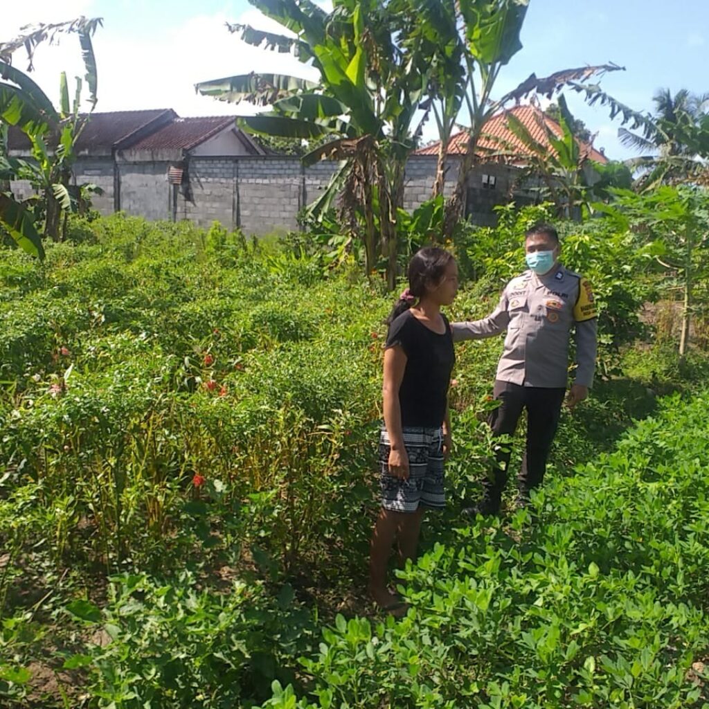 Polsek Kuripan Edukasi Petani Soal Ketahanan Pangan Desa