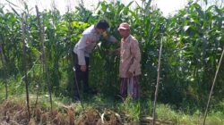 Bhabinkamtibmas Sosialisasi Pemanfaatan Lahan Kosong untuk Pangan