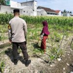 Polsek Labuapi Aktifkan Lahan Pekarangan untuk Pangan Lokal