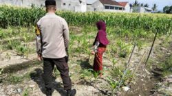 Bhabinkamtibmas Labuapi Dorong Pemanfaatan Lahan Demi Ketahanan Pangan