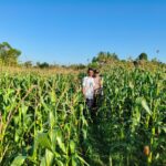 Pendampingan Polri di Dusun Tendaun Dorong Produktivitas Jagung Lokal