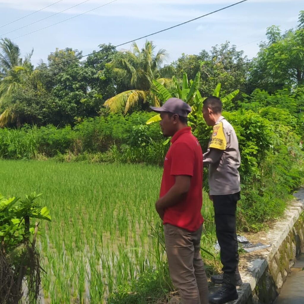 Bhabinkamtibmas Sekotong Dukung Swasembada Pangan di Batu Putih