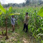 Sinergi Polri dan Petani: Kunjungan Kamtibmas di Dusun Jelateng Timur