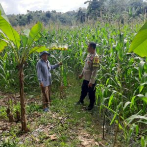 Sinergi Polri dan Petani: Kunjungan Kamtibmas di Dusun Jelateng Timur