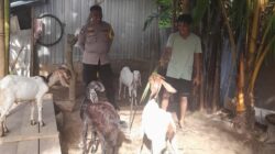 Bhabinkamtibmas Senggigi Gencarkan Edukasi Ketahanan Pangan di Dusun Krandangan