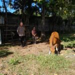 Polisi Dorong Pemanfaatan Lahan Tidur di Lombok Barat