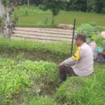 Sinergi Polri dan Petani di Kediri Lombok Barat Kuatkan Ketahanan Pangan