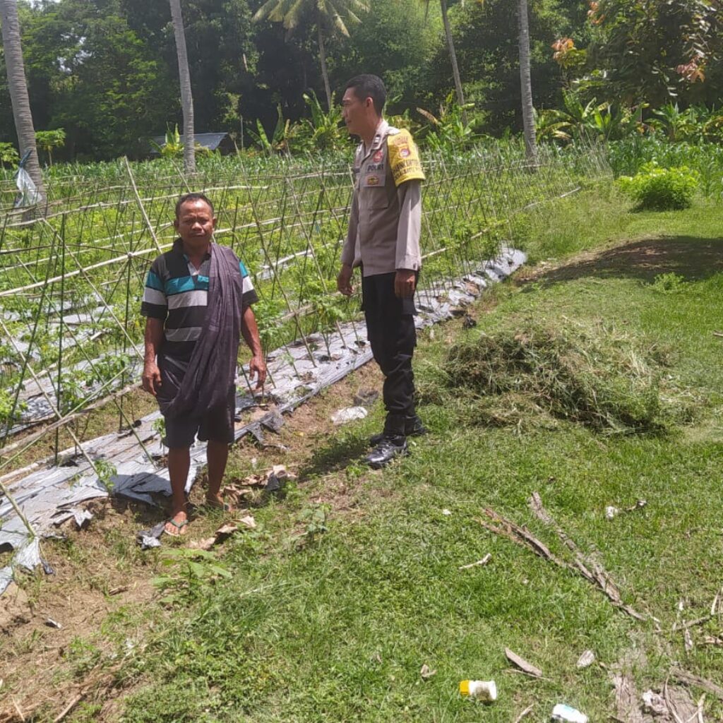 Dukung Ketahanan Pangan, Polri Aktif di Desa Batu Putih