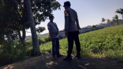 Ketahanan Pangan Desa Kuripan Sinergi Polri dan Warga