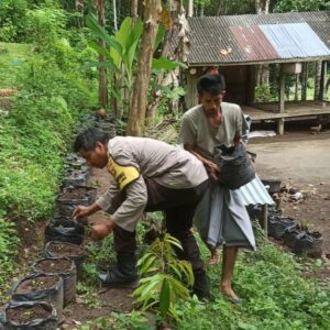 Inovasi Ketahanan Pangan dari Lombok Barat: Optimalisasi Lahan Pekarangan Warga