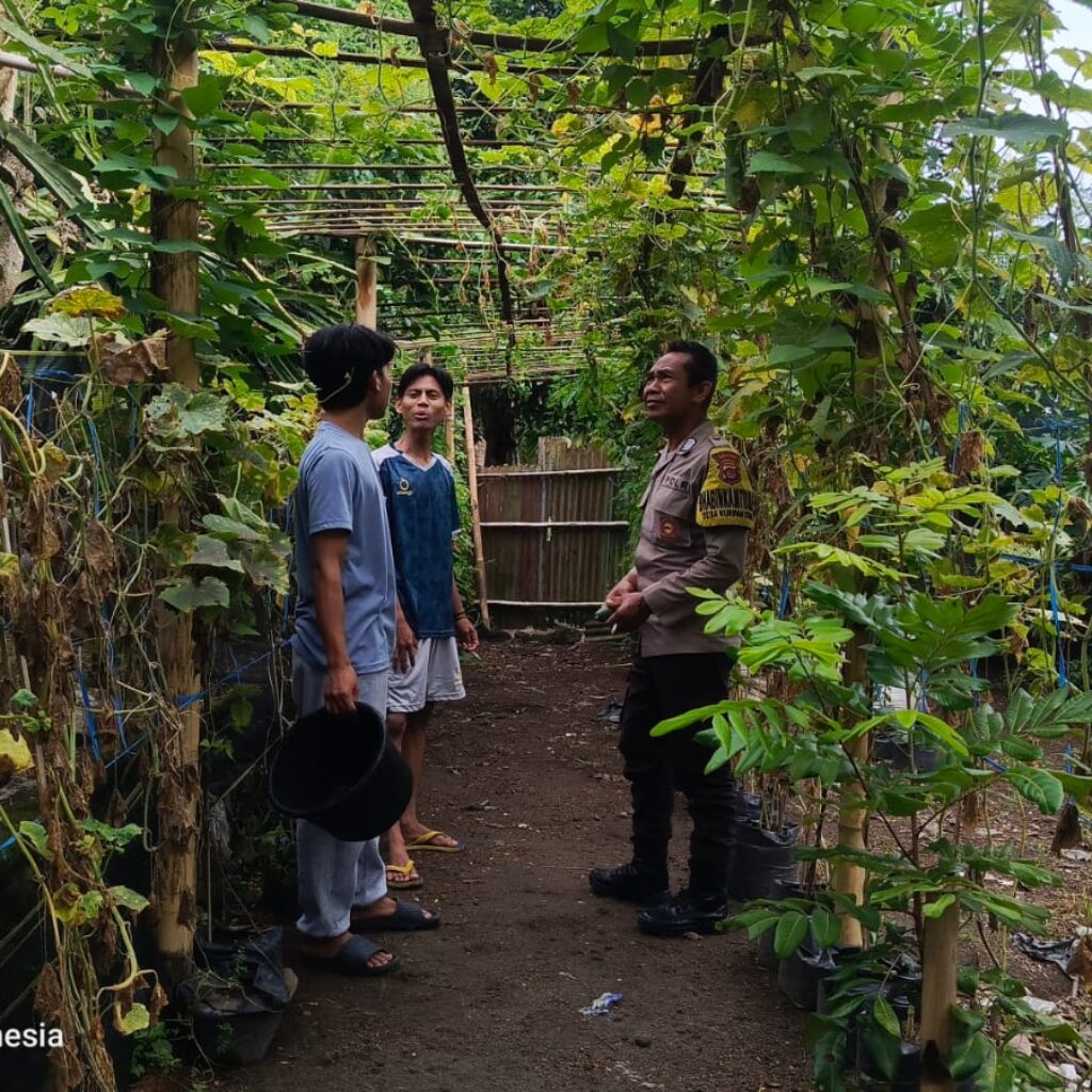 Pemuda Pesongoran Bergerak Wujudkan Kemandirian Pangan