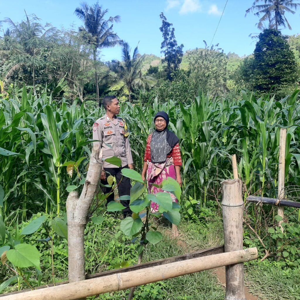 Peran Bhabinkamtibmas Desa Sekotong Timur dalam Program Pangan Nasional
