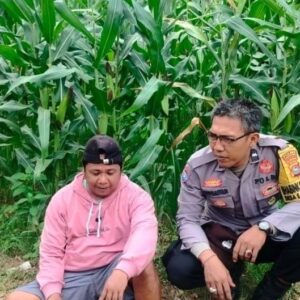 Polisi Aktif di Ladang: Wujud Komitmen Ketahanan Pangan Desa Eyat Mayang