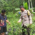 Program Pangan Mandiri Polri di Desa Batulayar NTB