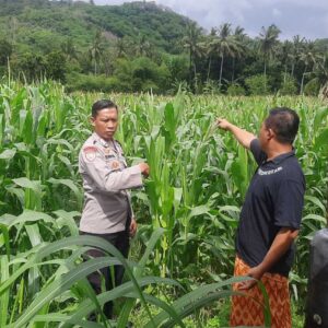 Sinergi Polri dan Petani di Lembar, Ketahanan Pangan Jadi Prioritas
