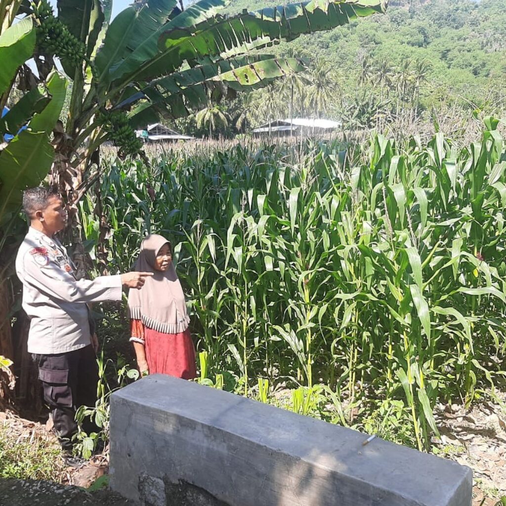 Polsek Lembar Dukung Ketahanan Pangan di Dusun Jelateng